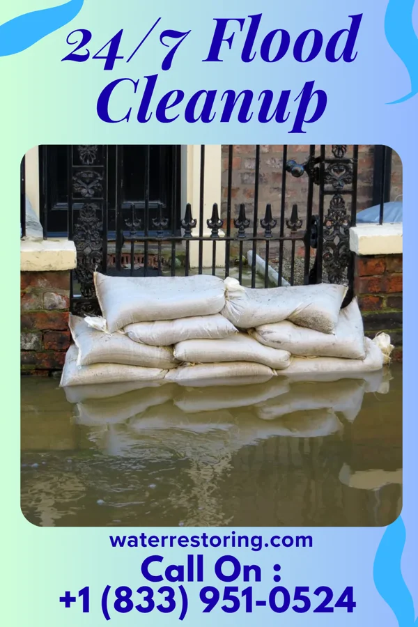 24/7 Flood Cleanup in Ida, LA