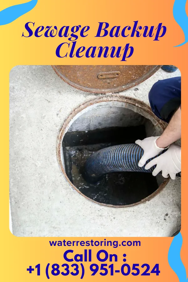 Sewage Backup Cleanup in Ida, LA